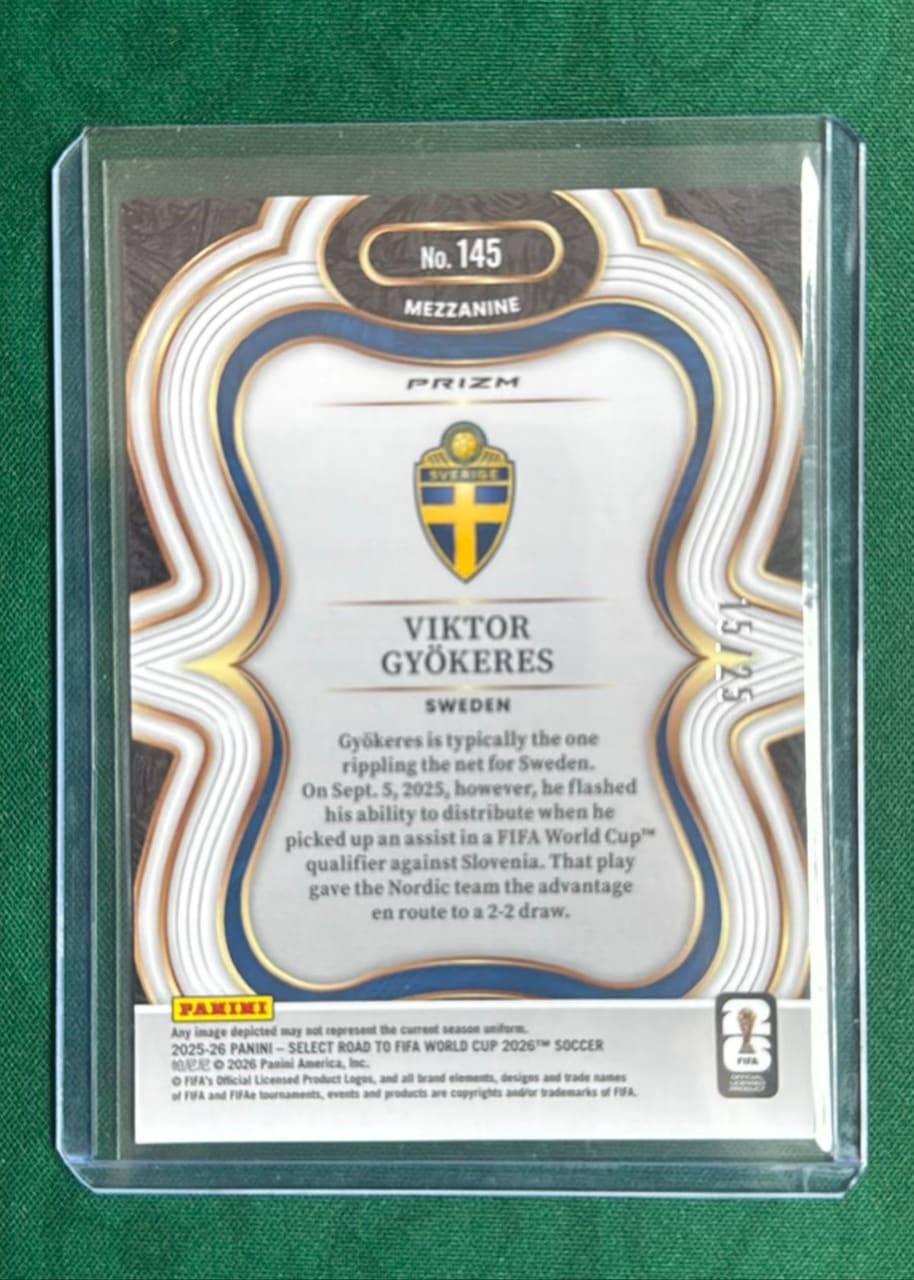 VIKTOR GIÖKERES TYE DIE ROAD TO THE WORLD CUP, foto 2